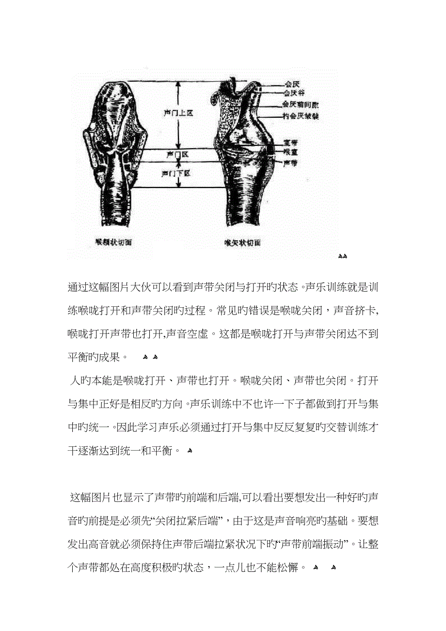 声带以及周围结构图和解释_第2页