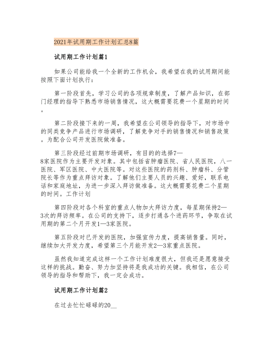 2021年试用期工作计划汇总8篇_第1页