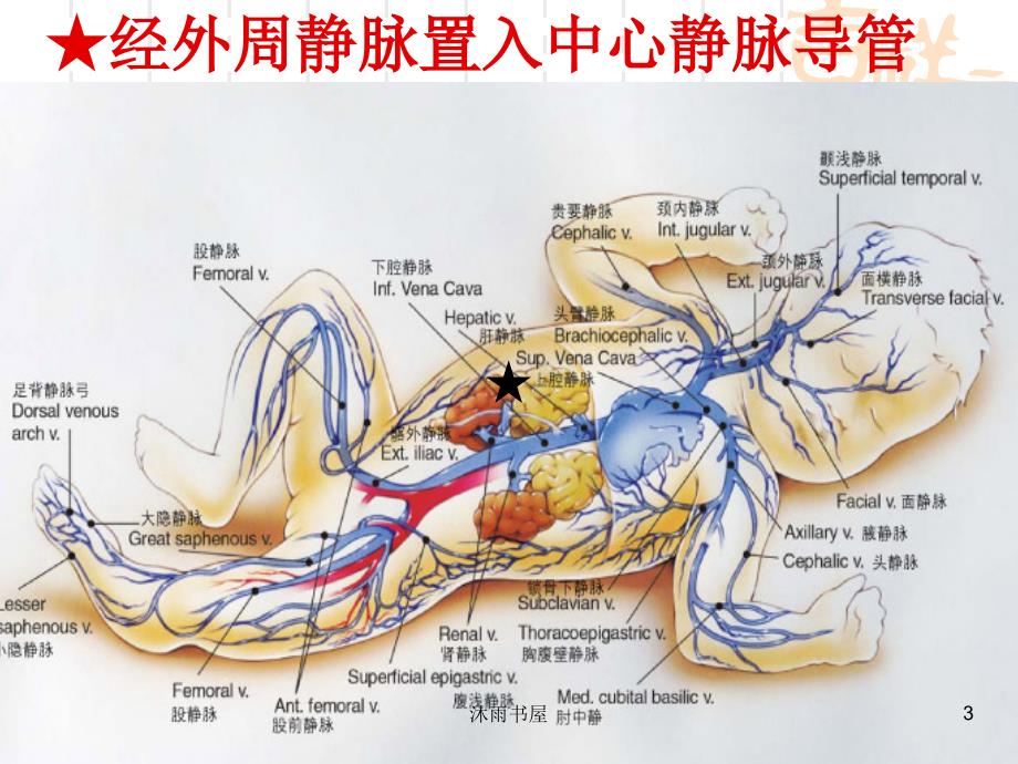 小儿PICC护理维护[智囊书屋]_第3页