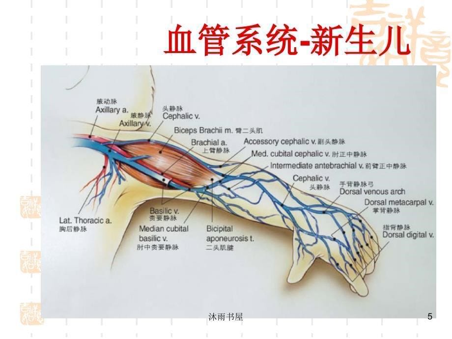 小儿PICC护理维护[智囊书屋]_第5页