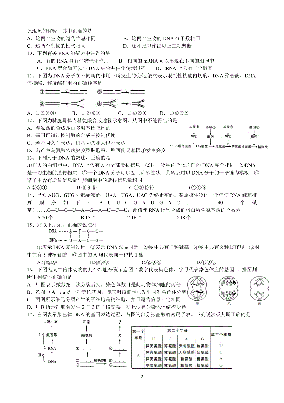 高二生物巩固练习.doc_第2页