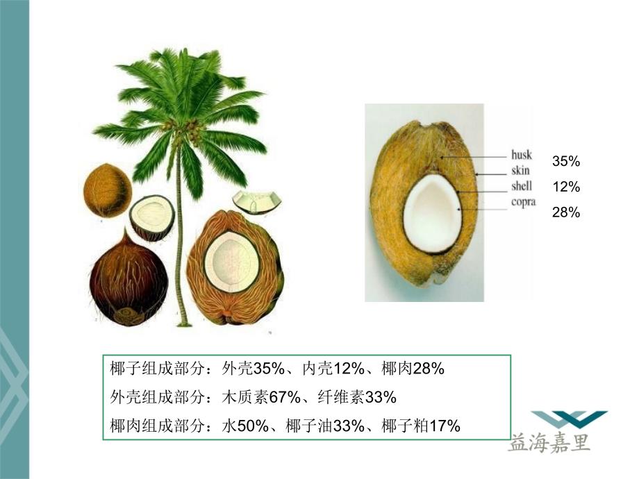 椰子粕的营养价值分析与应用_第4页