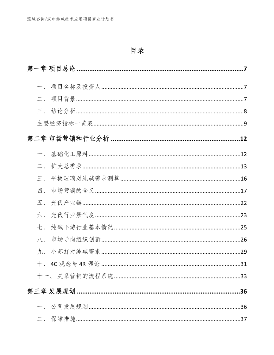 汉中纯碱技术应用项目商业计划书（范文）_第2页