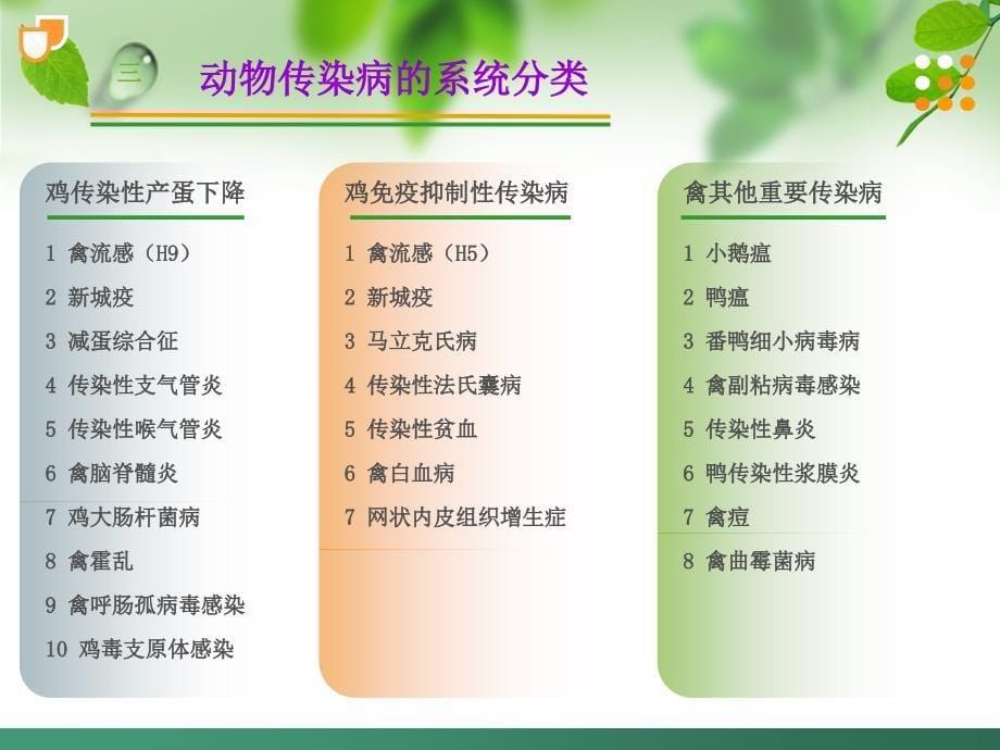 动物传染病防治策略_第5页