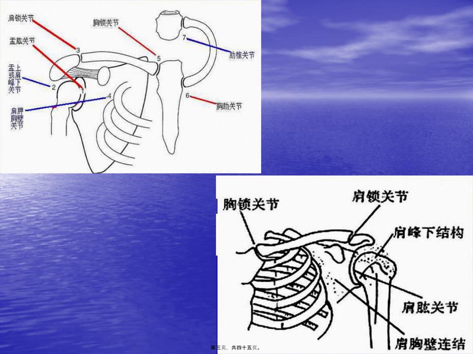 医学专题—偏瘫患者的常见肩20423_第3页