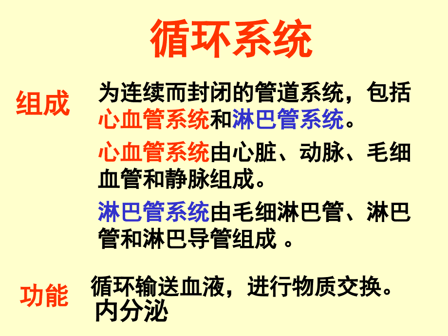 组织学与胚胎学：循环系统_第1页