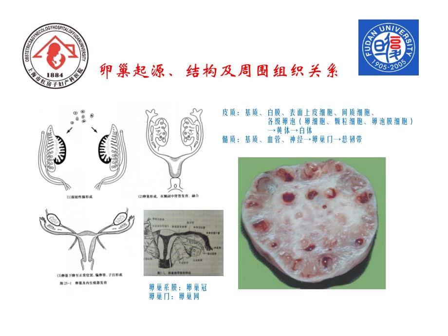 医院教学、科研工作总结_第3页