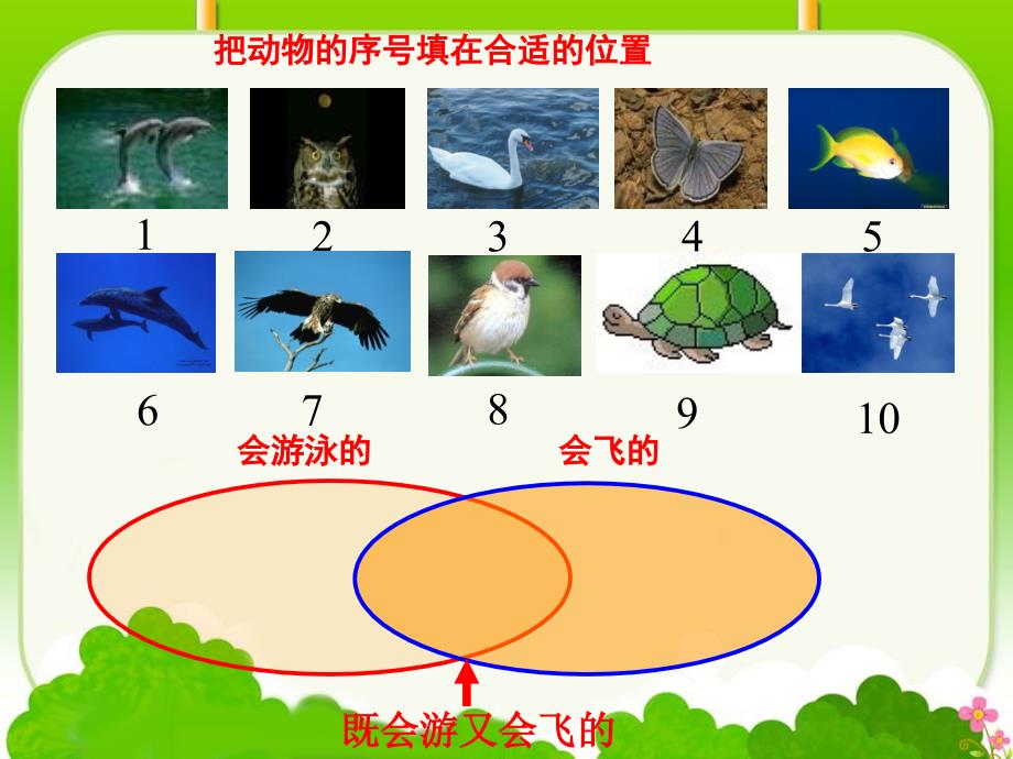 《数学广角》教学课件_第4页