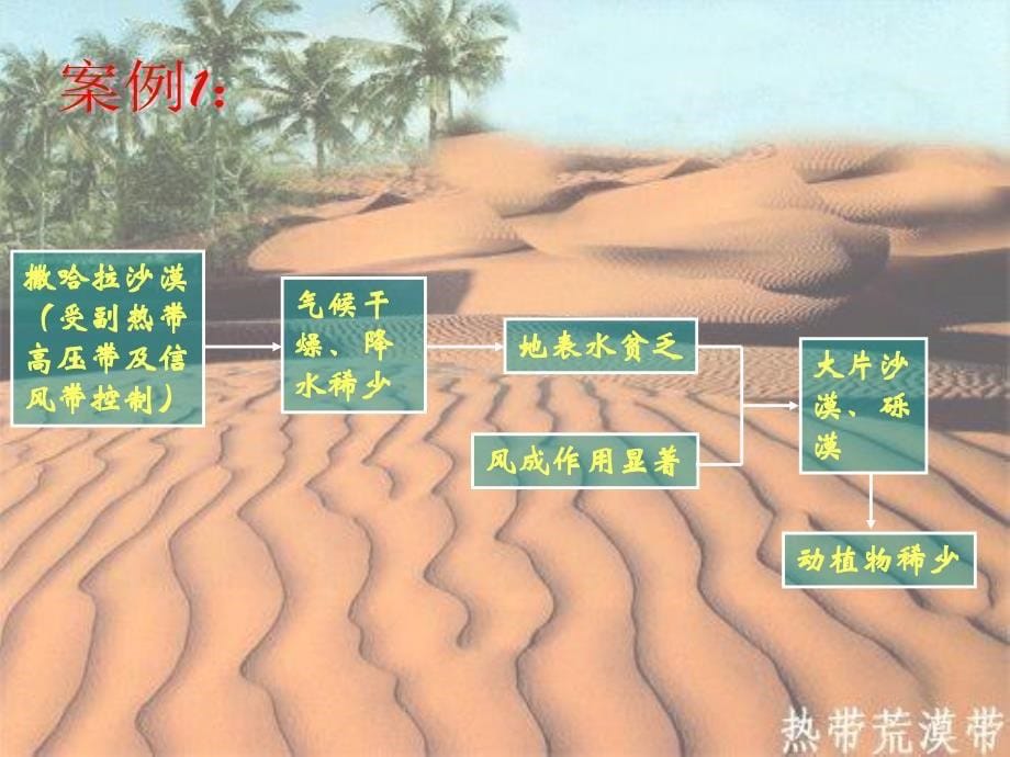 高一地理地理环境的整体性和地域分异.ppt_第5页