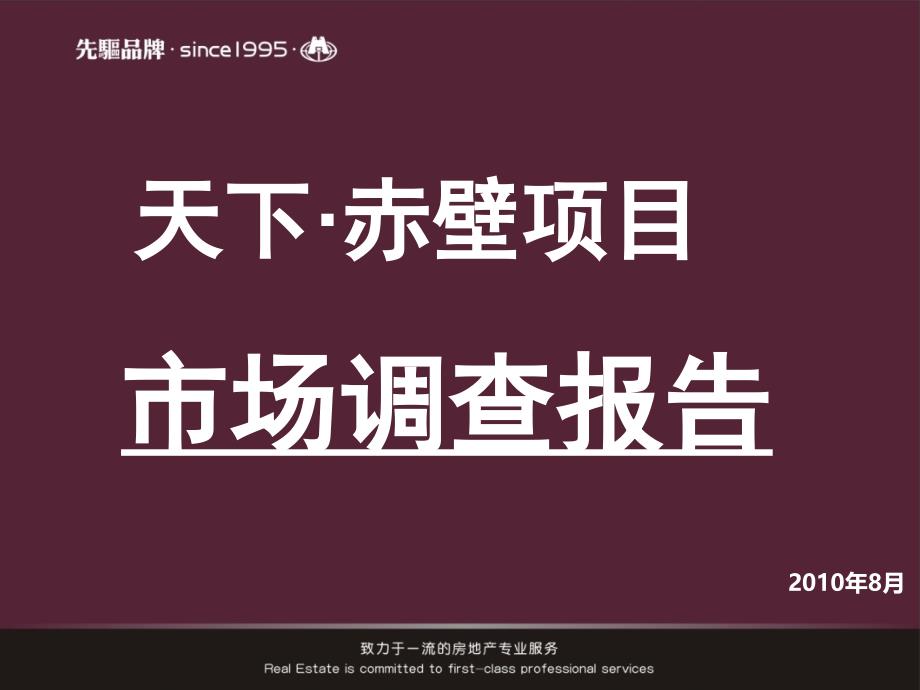 天下赤壁项目市场调查报告80P_第1页