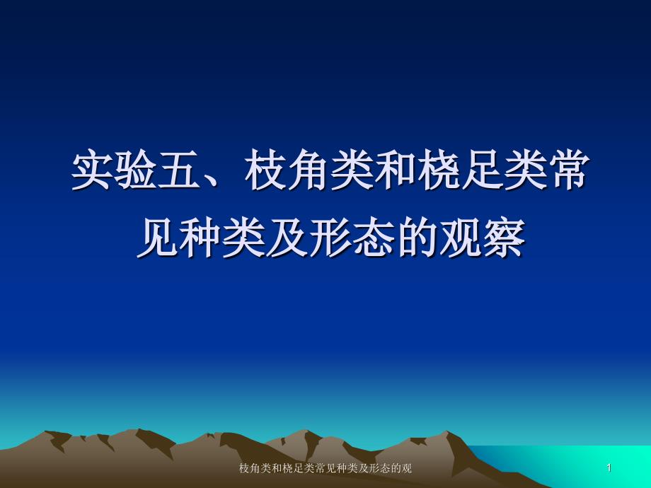 枝角类和桡足类常见种类及形态的观课件_第1页