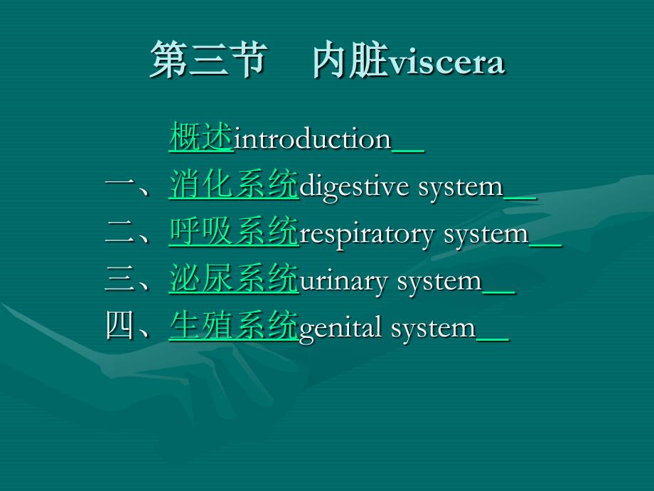 系统解剖学内脏系统_第1页