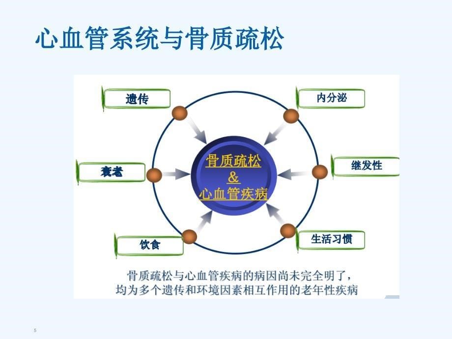 内科疾病与骨质疏松课件_第5页