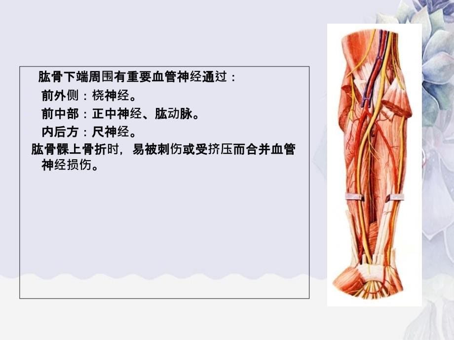 儿童肱骨髁上骨折的诊治_第5页