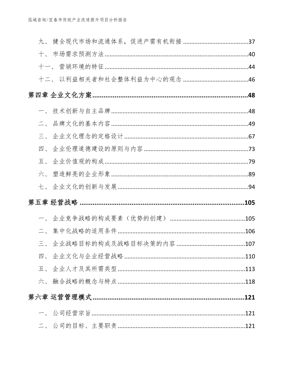 宜春市传统产业改造提升项目分析报告模板范文_第3页
