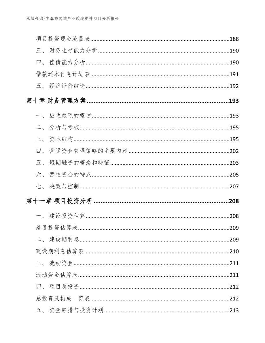 宜春市传统产业改造提升项目分析报告模板范文_第5页
