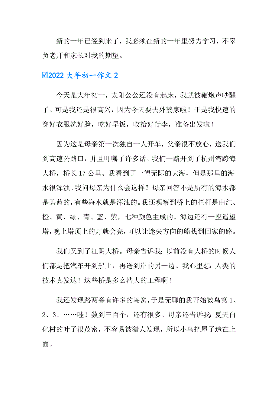 2022大年初一作文_第2页