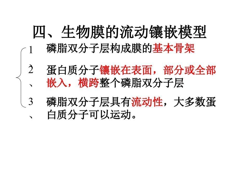 高一生物必修一第三章细胞的基本结构复习_第5页