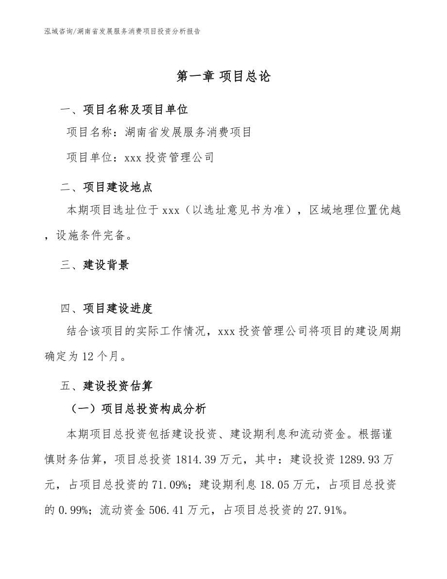 湖南省发展服务消费项目投资分析报告（参考范文）_第5页