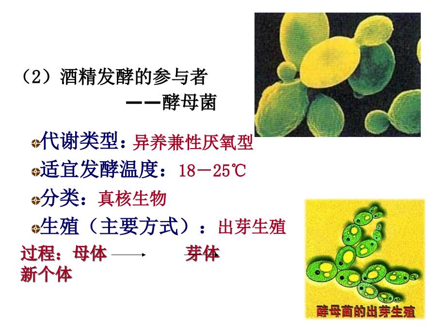 1.1果酒和果醋的制作课件曾伟_第4页