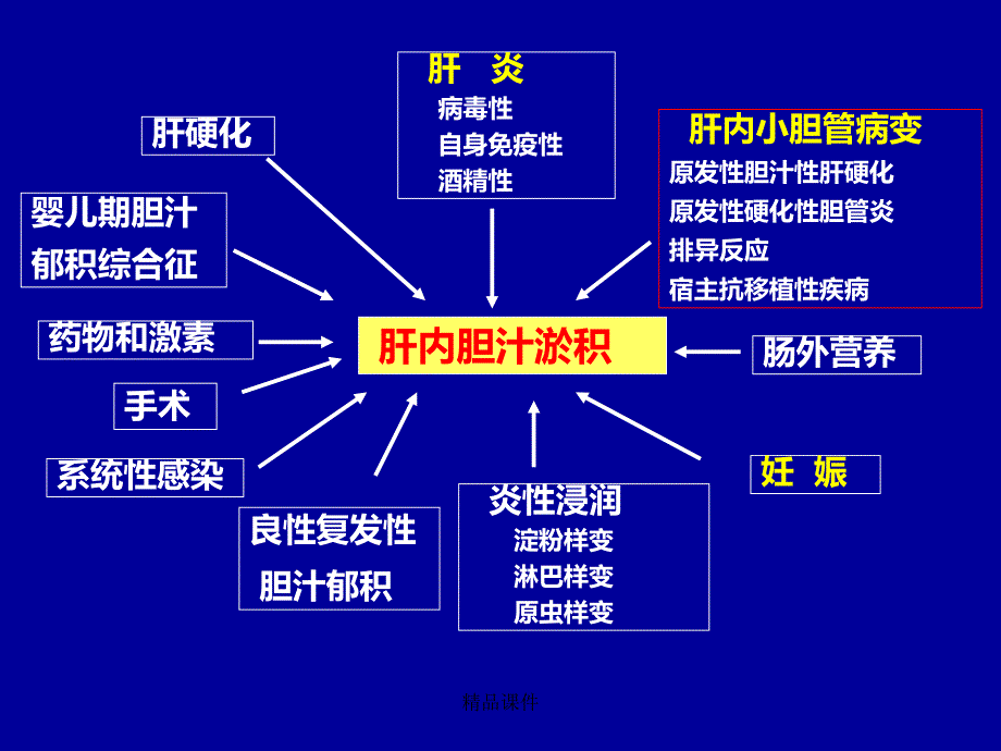 自身免疫性肝病诊治现状课件_第3页