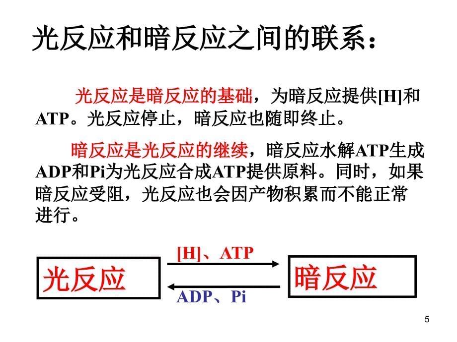 光合作用的原理和应用25_第5页