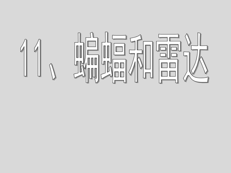 蝙蝠和雷达资料PPT课件_第1页