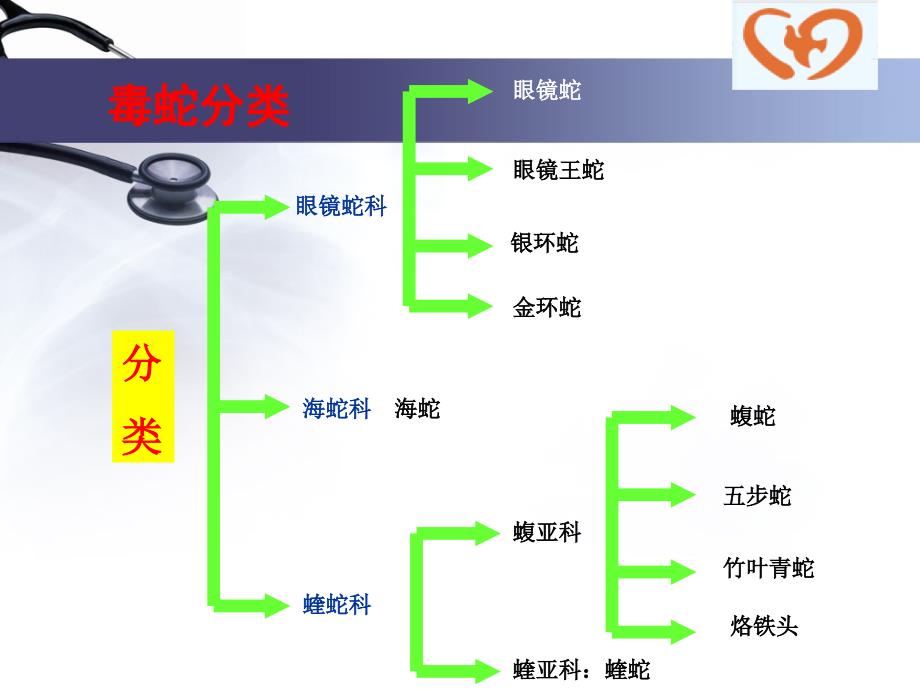 急诊医学课件：毒蛇伤急诊救治_第4页