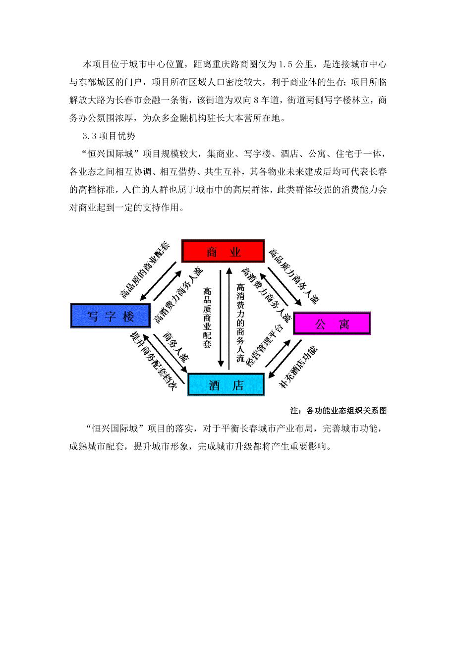 项目分析报告_第3页