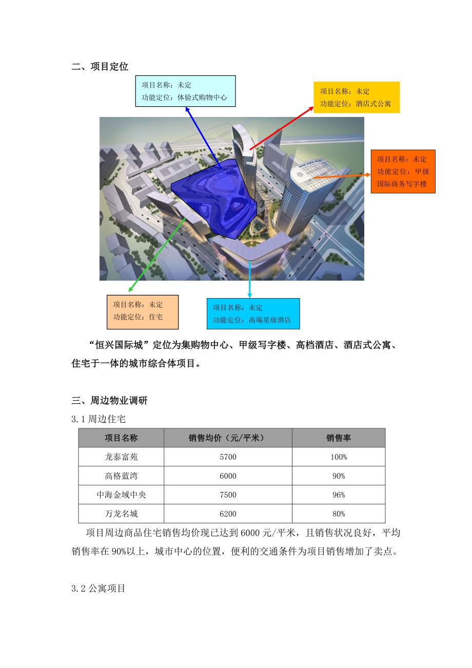 项目分析报告_第4页