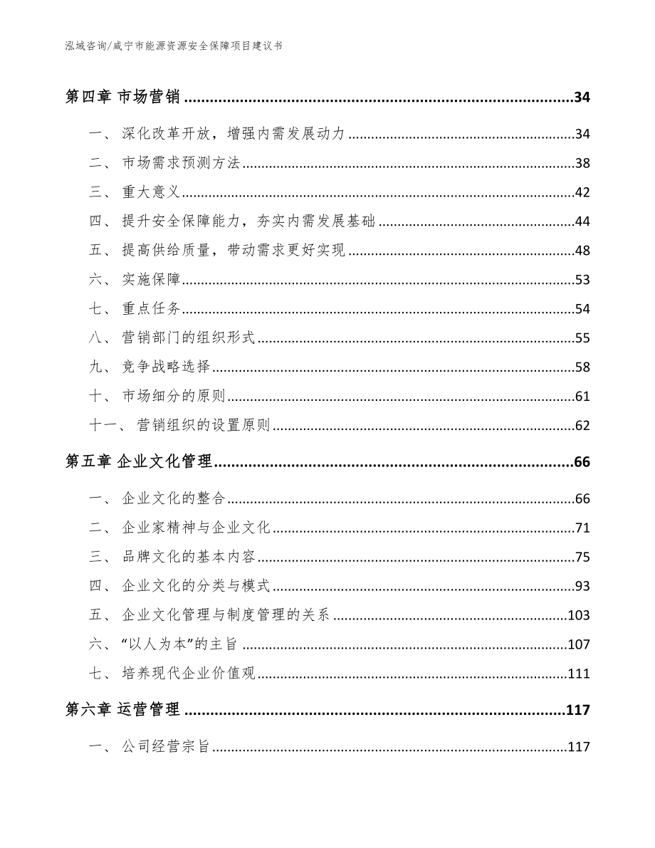 咸宁市能源资源安全保障项目建议书模板参考_第3页