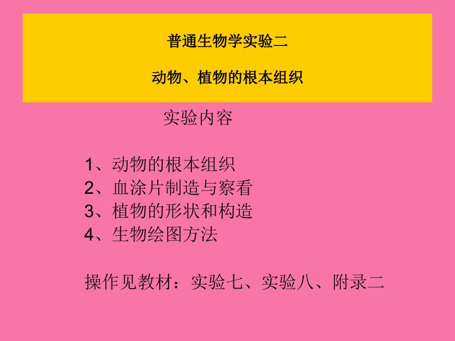 动物植物的基本组织ppt课件_第1页