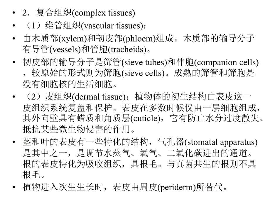 植物的结构与功能PPT课件_第5页