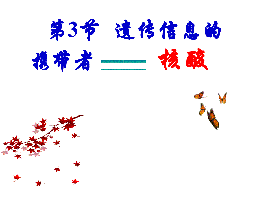 23遗传信息的携带者——核酸_第1页