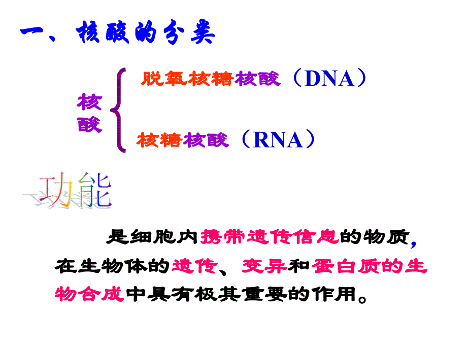 23遗传信息的携带者——核酸_第3页