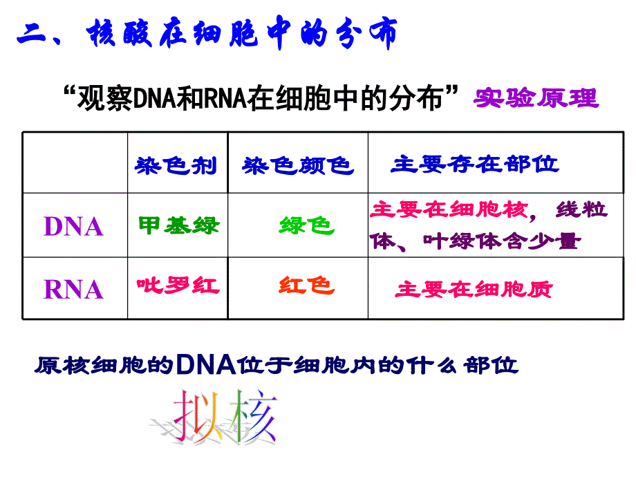 23遗传信息的携带者——核酸_第4页