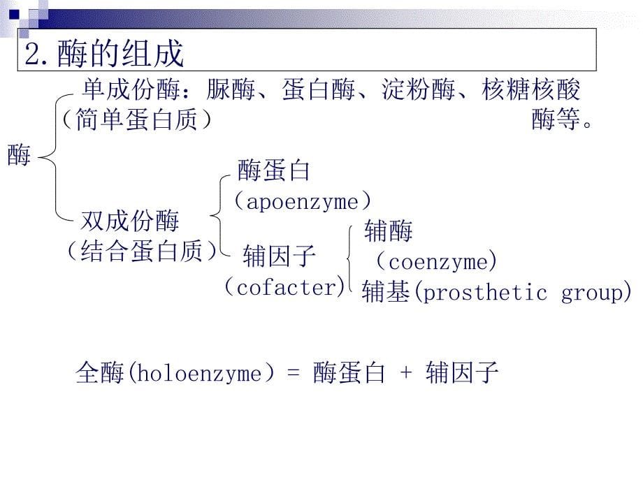 生物化学---酶催化作用的特点课件_第5页