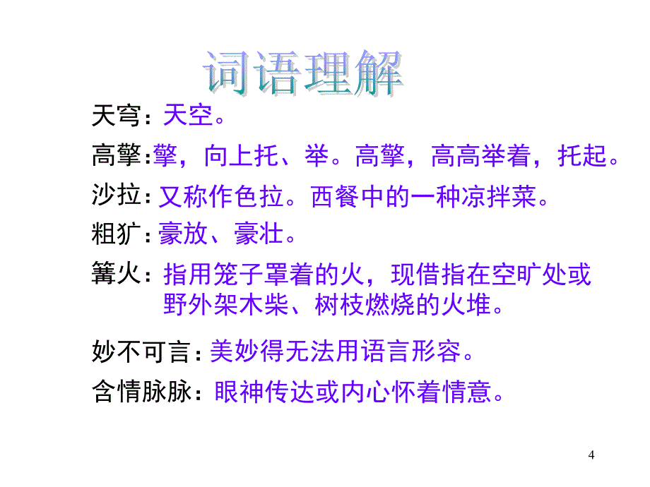 彩色的非洲完美版课堂PPT_第4页