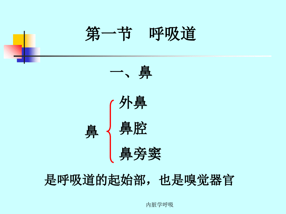 内脏学呼吸课件_第3页