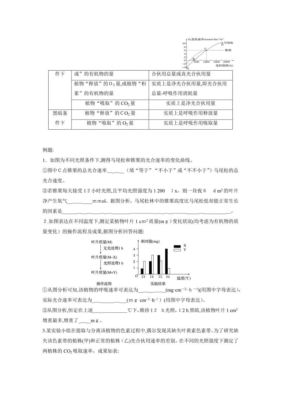 光合作用二轮复习(学生_第5页