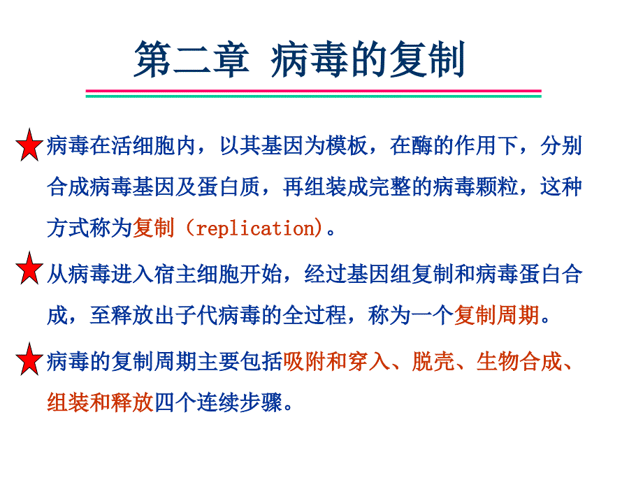 病毒复制过程_第1页