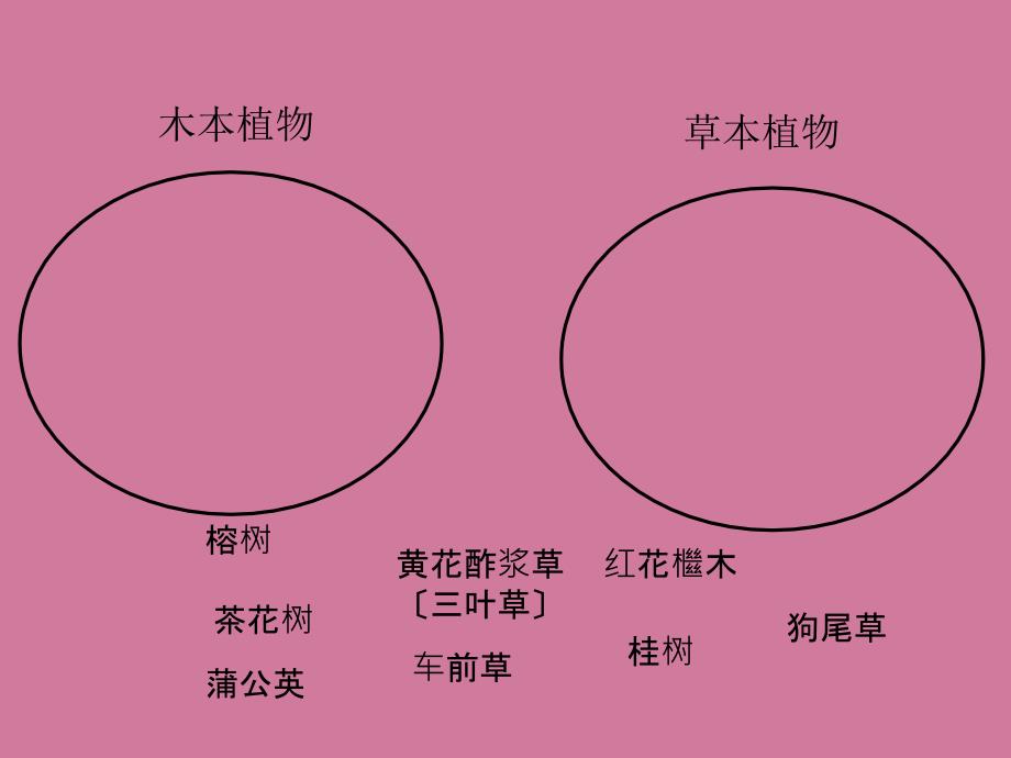 科学三年级上册第一单元植物复习ppt课件_第4页