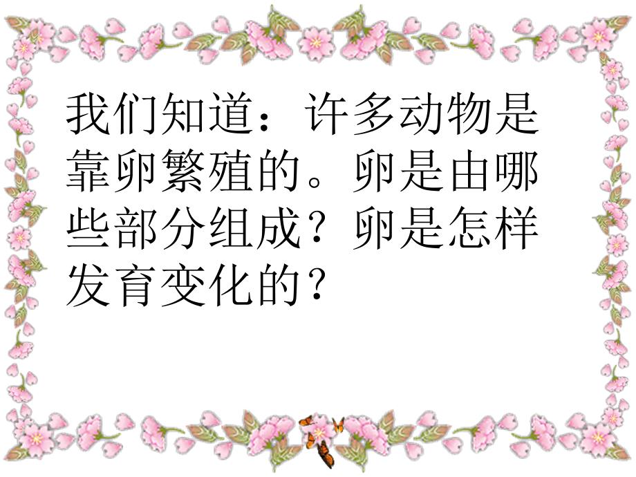 教科版四年级下册科学动物的卵_第4页