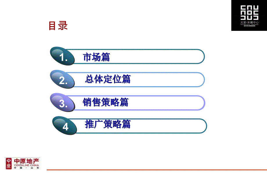 济南天业国际营销报告82P._第3页