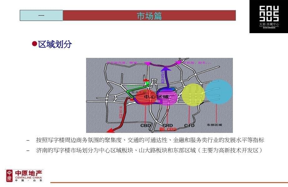 济南天业国际营销报告82P._第5页