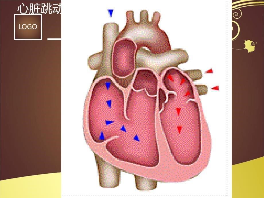 急性左心衰的治疗与护理进展精选文档_第5页