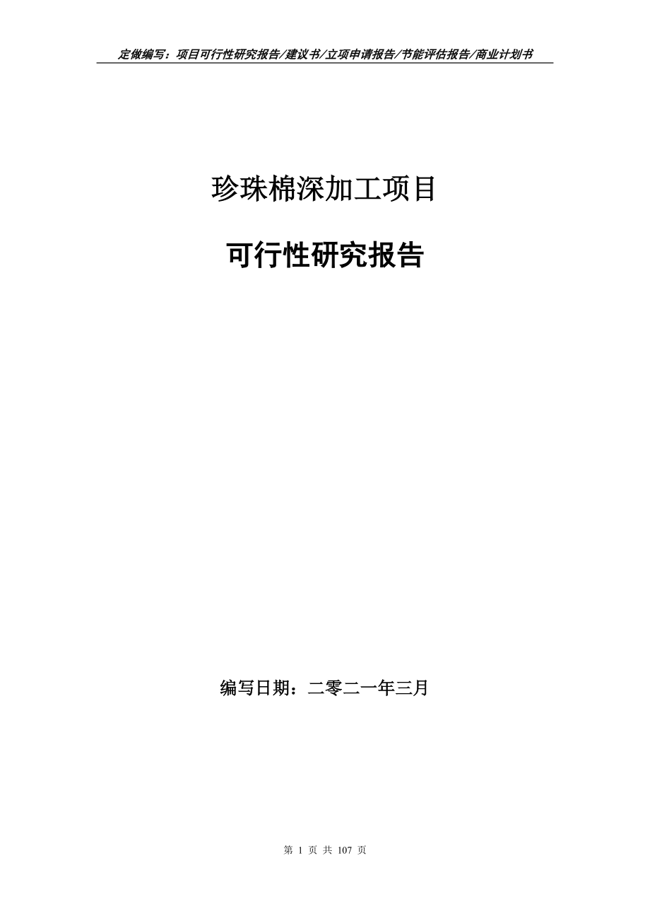 珍珠棉深加工项目可行性研究报告立项申请_第1页