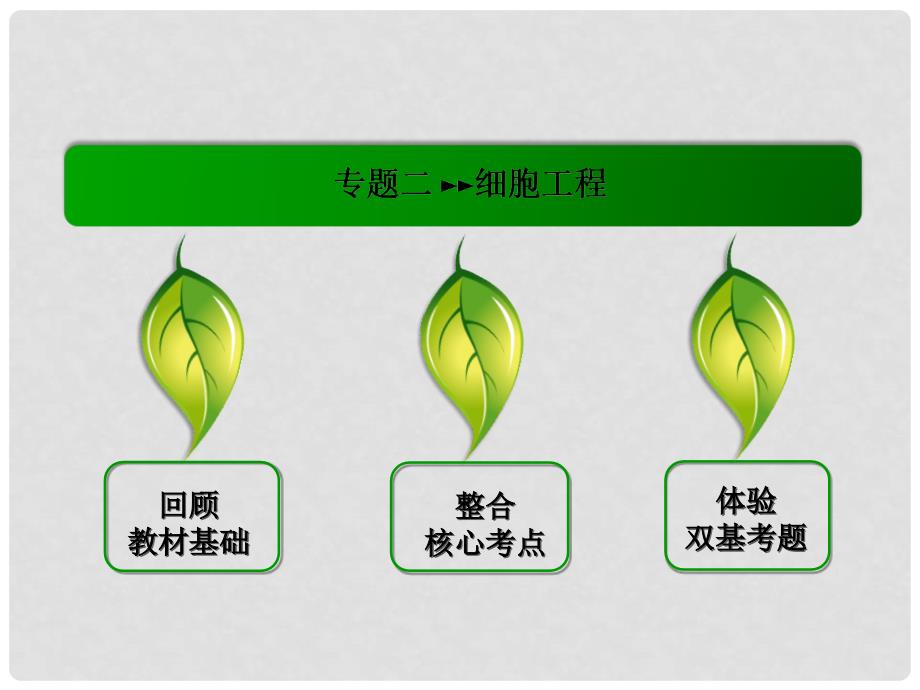 模块新课标高考生物总复习 专题2 细胞工程课件 新人教版选修3_第2页