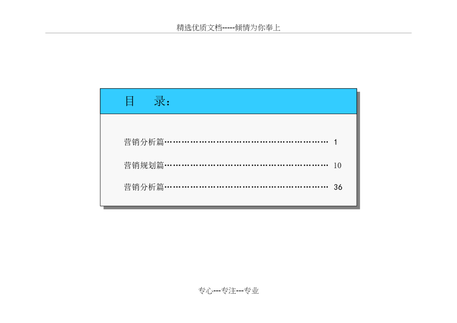 车整合营销策划案_第2页