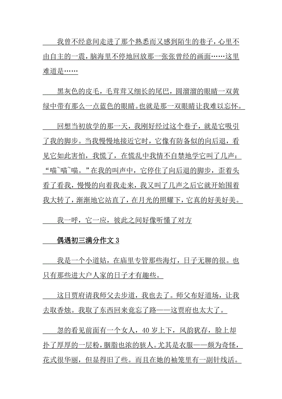 偶遇初三满分作文_第2页